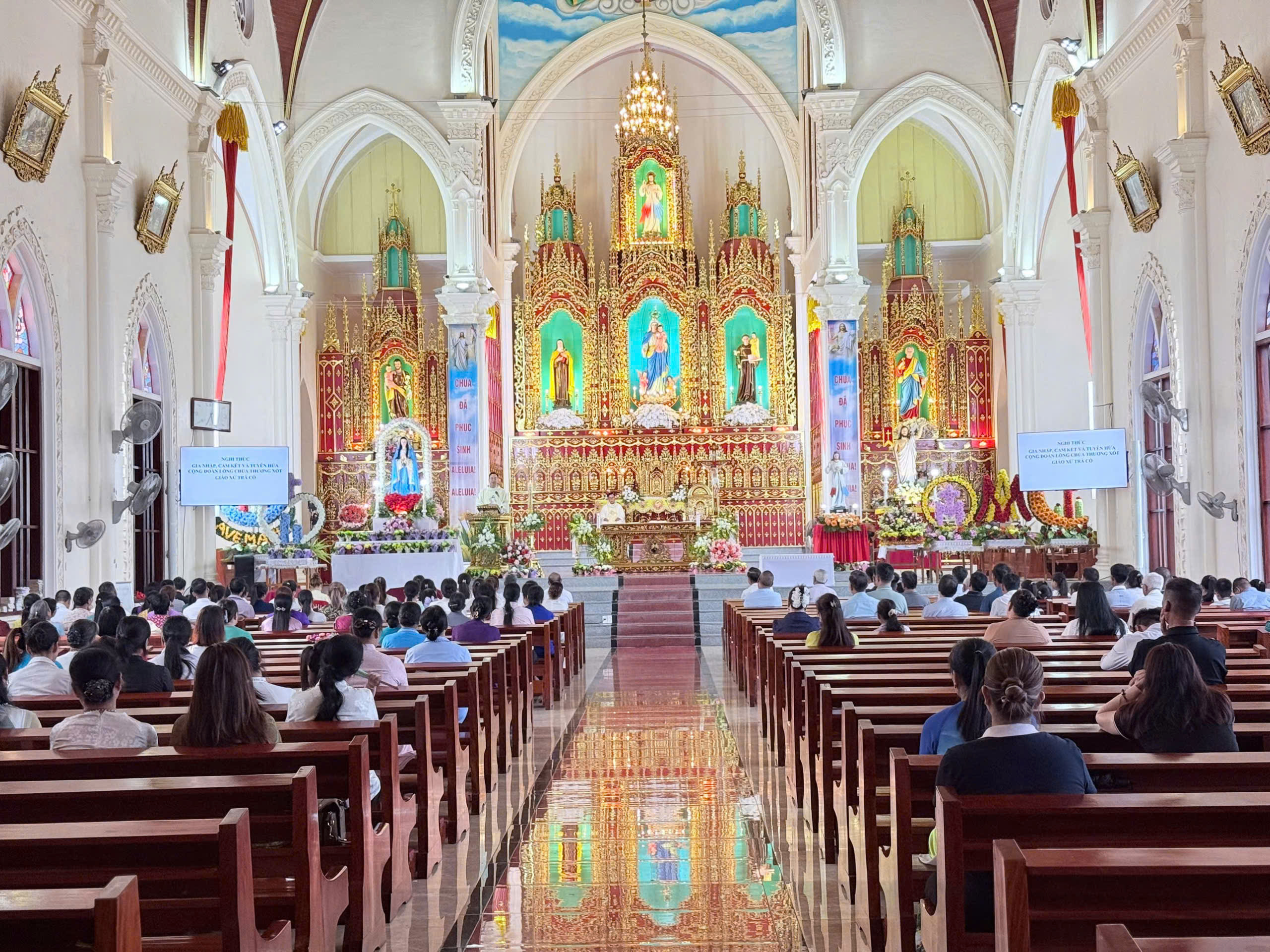 Photo-3